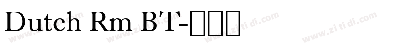 Dutch Rm BT字体转换